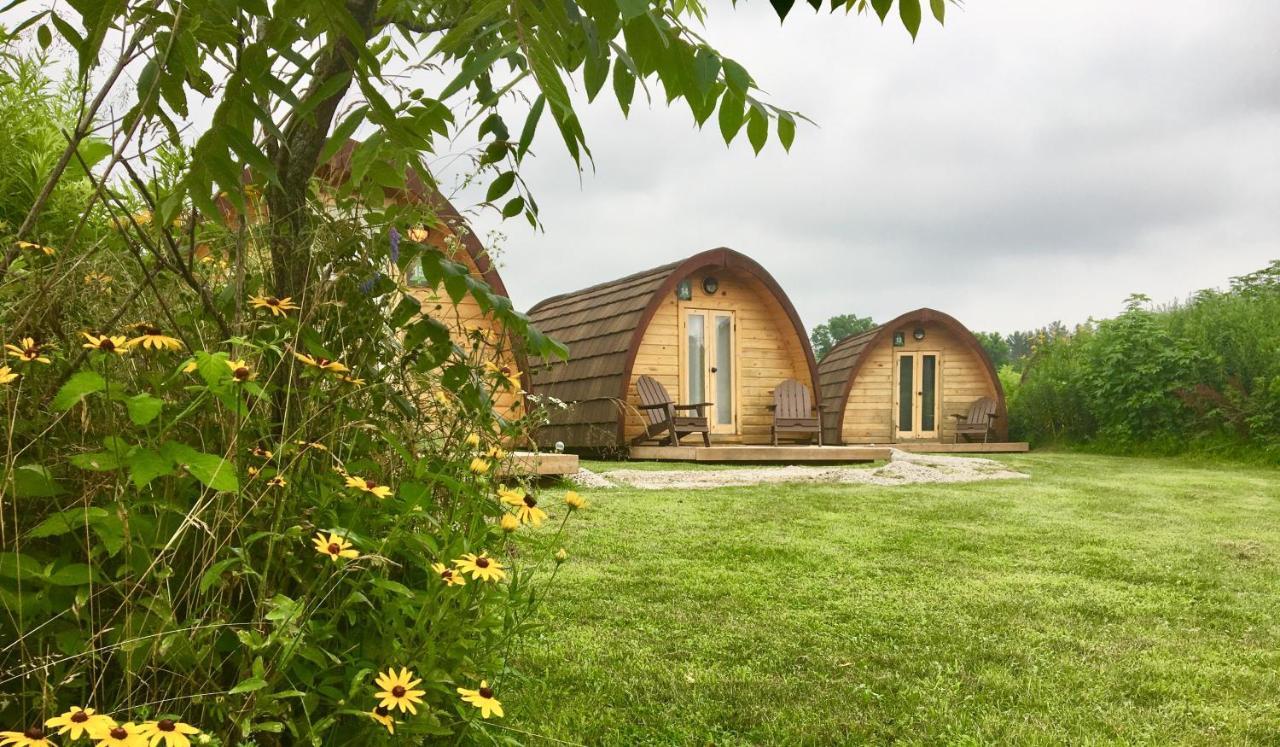 Long Point Eco-Adventures Villa Normandale Ngoại thất bức ảnh